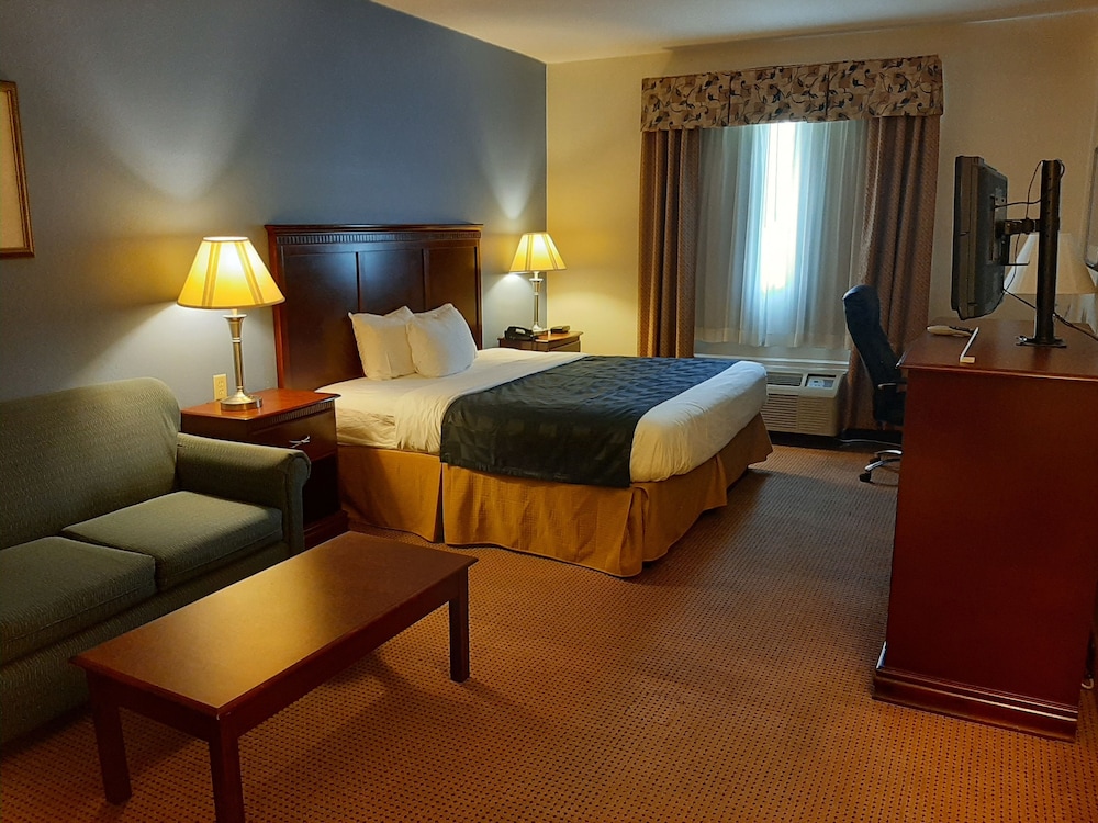 Comfort Single Room photo 1
