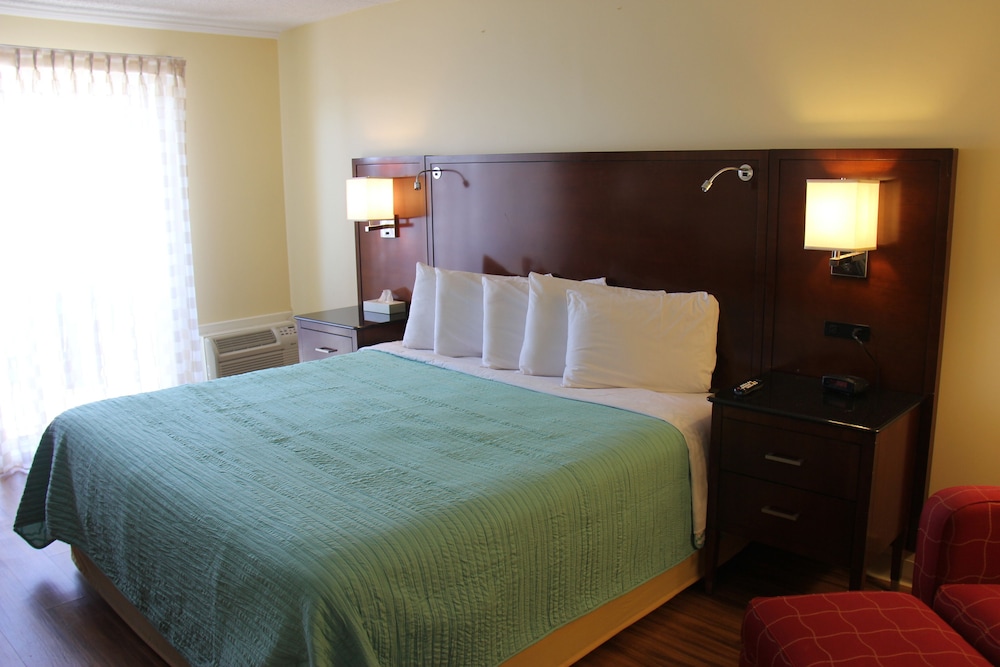 Standard Room, 1 King Bed photo 1