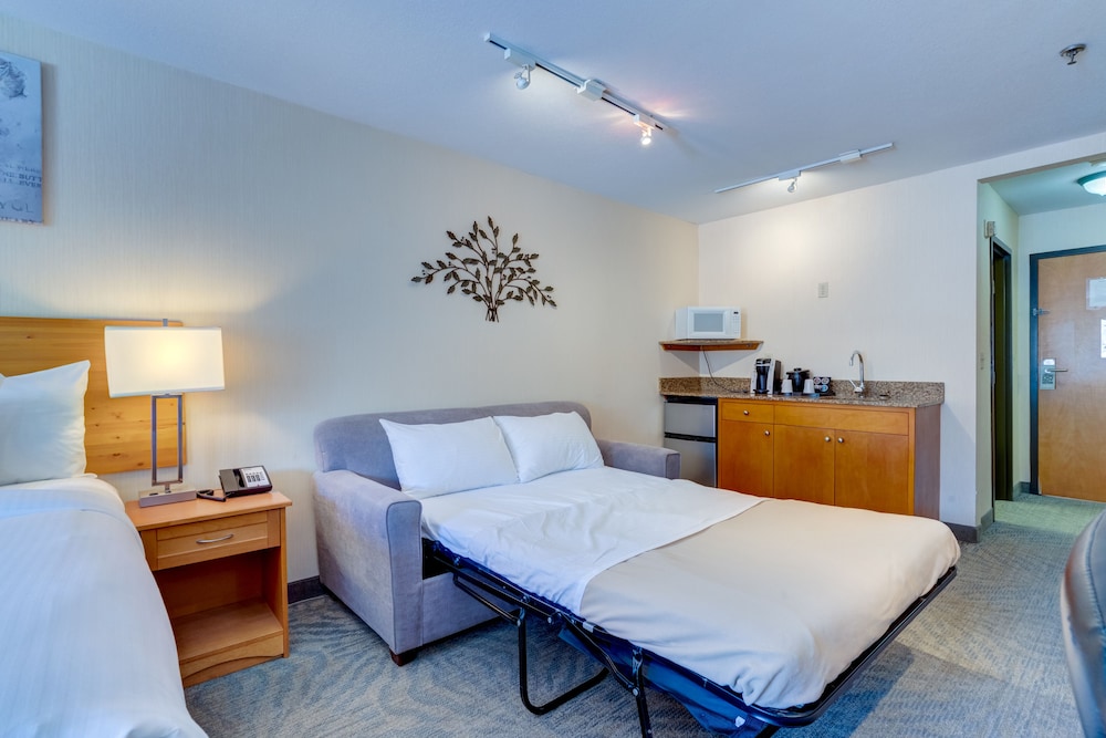 Executive Suite, 1 Bedroom photo 1