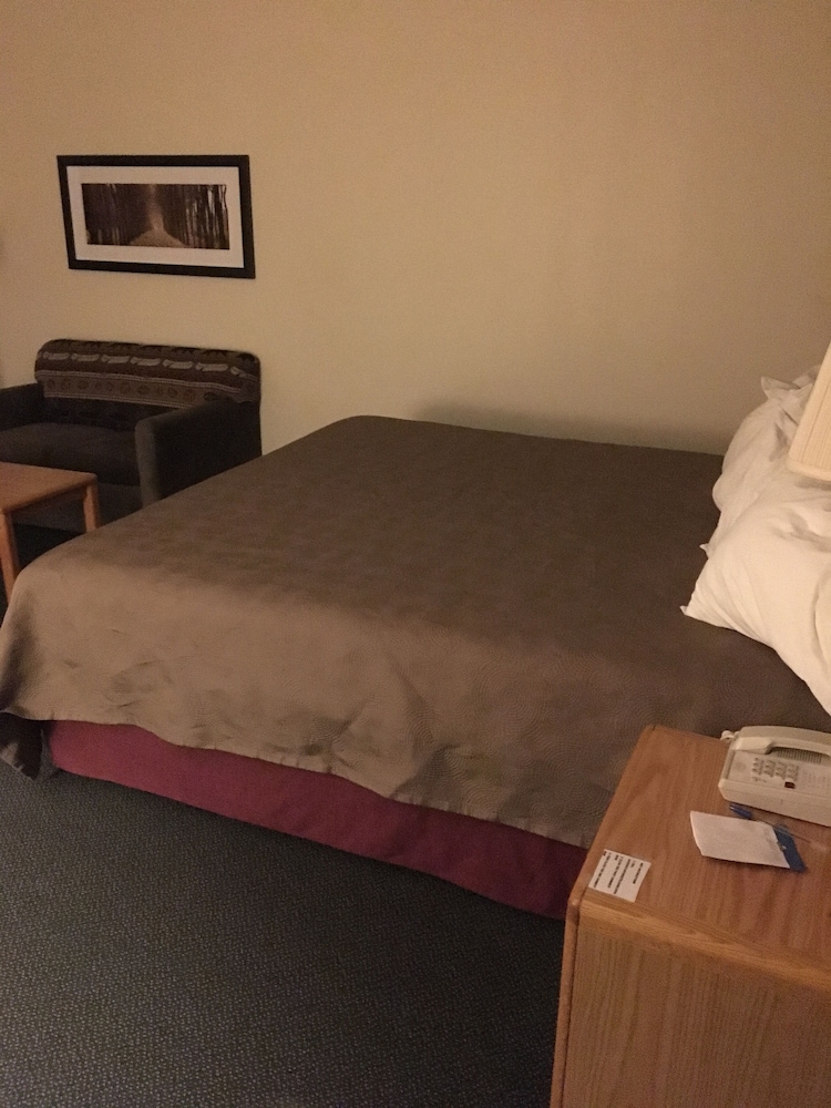 Room, 1 King Bed, Jetted Tub (Sofa Bed)