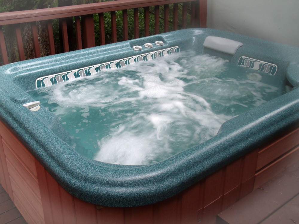 Single Room, 1 King Bed, Indoor Jetted Tub and Outdoor Private Hot Tub, Lake View and Forest View photo 3