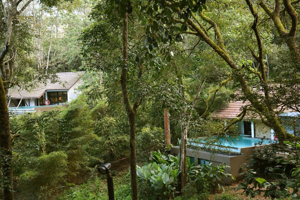 Premium Room, 1 King Bed, Non Smoking, Pool View photo 2