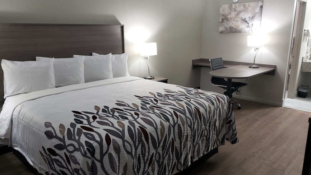 Superior Room, 1 King Bed, Non Smoking - Photo 2