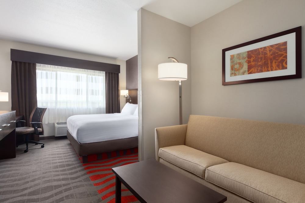 Suite, 1 King Bed, Dog Friendly, Non Smoking photo 3