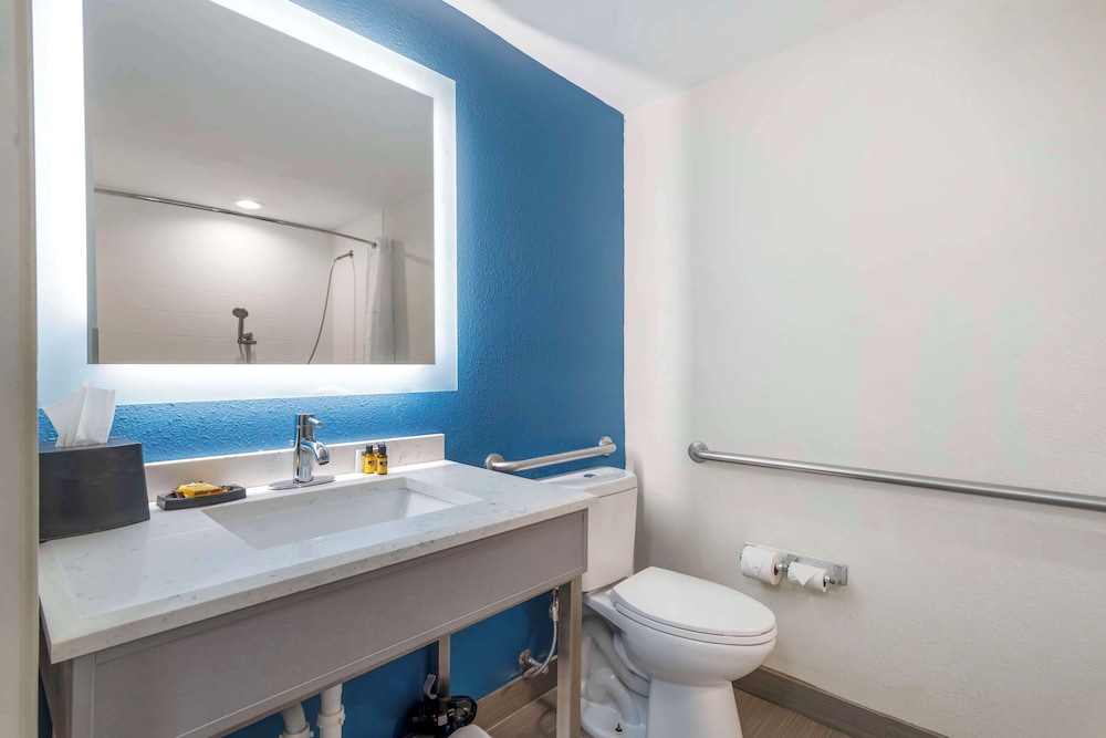 Room, 1 King Bed, Bathtub (with Sofabed)