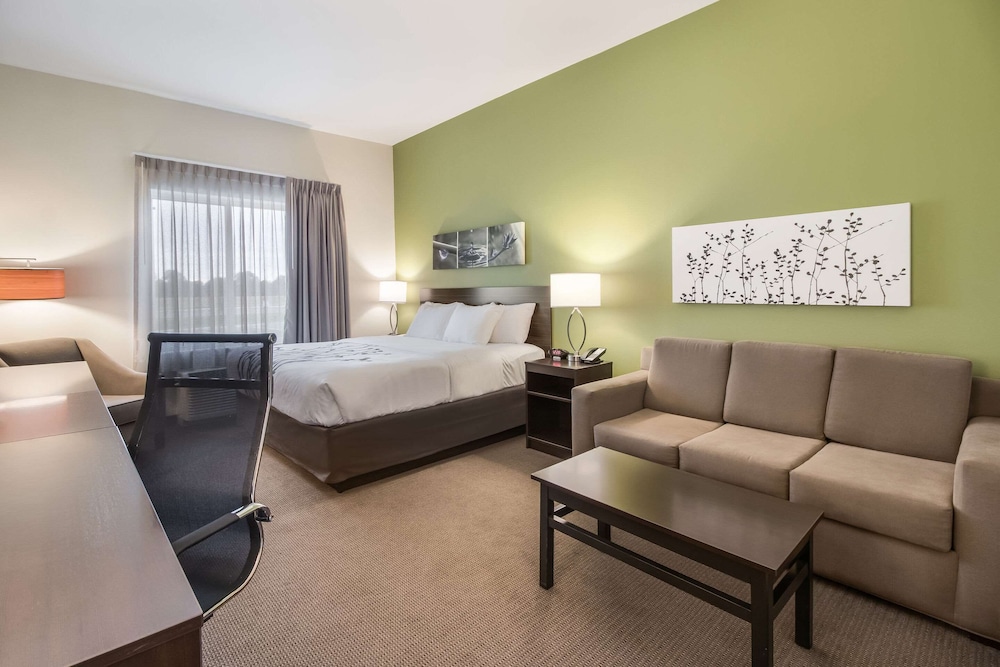 Suite, 1 King Bed with Sofa bed, Accessible, Non Smoking - Photo 1