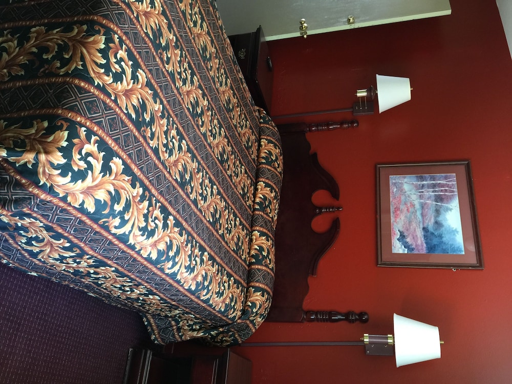 Room, 1 Queen Bed photo 1