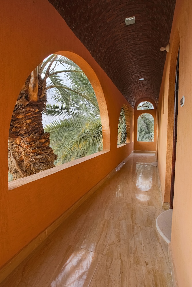 Standard Single Room photo 1