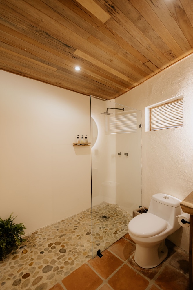 PALMA PREMIUM photo 2