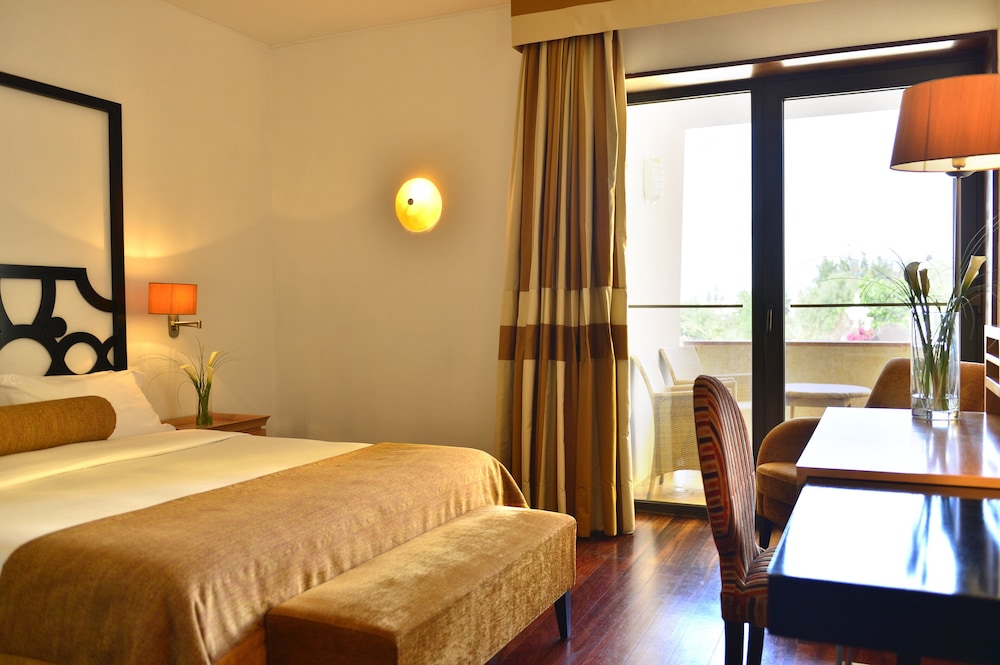 Suite - Photo 6