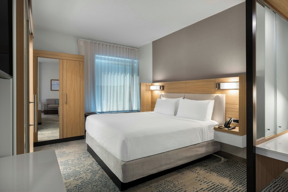Suite, 1 King Bed with Sofa bed photo 3