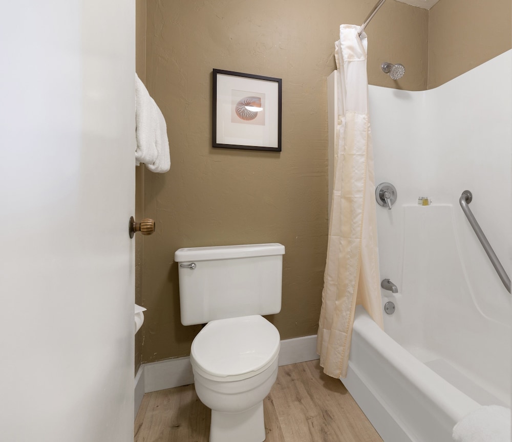 Suite, 1 Bedroom, Kitchen, Pool View (2 Double Bed with Sofa Bed) - Photo 6