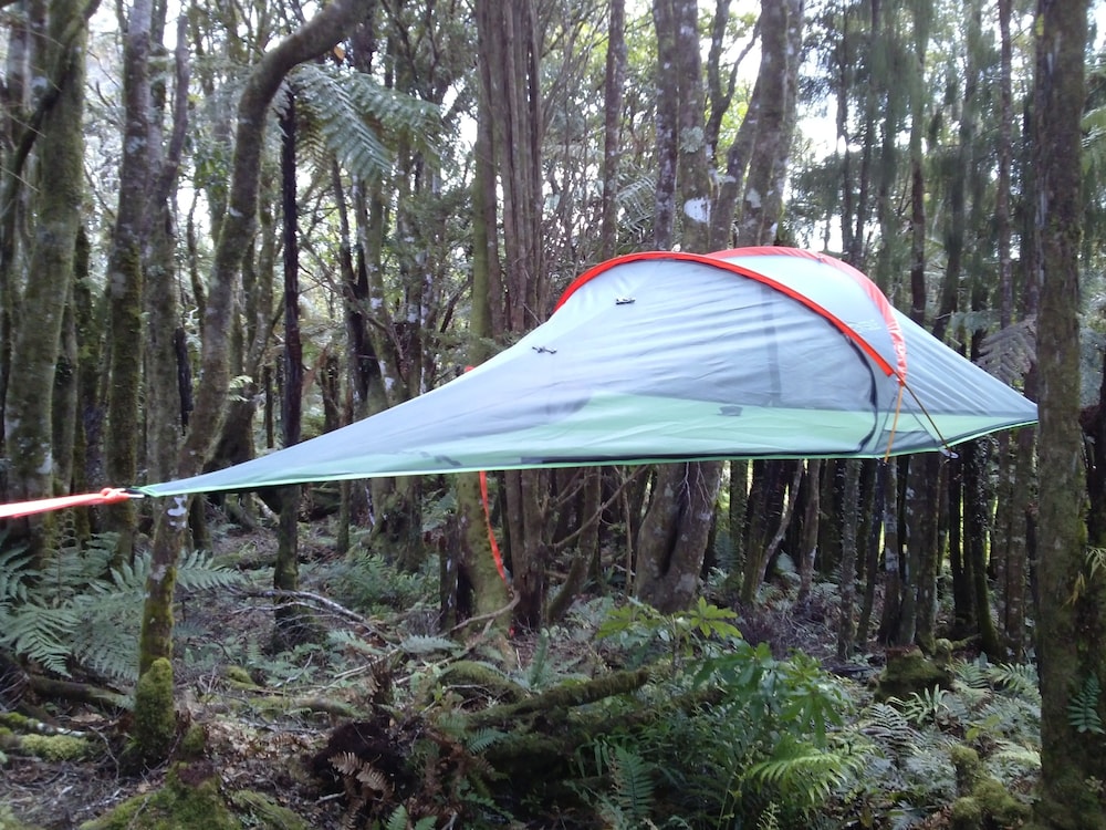 Large Tent photo 1