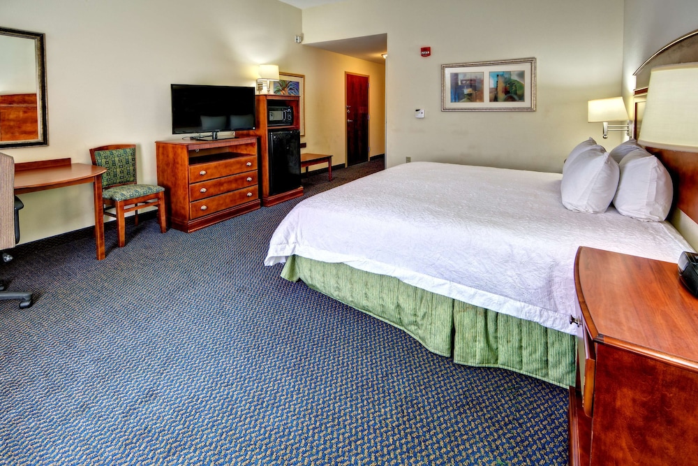 Room, 1 King Bed, Accessible photo 1