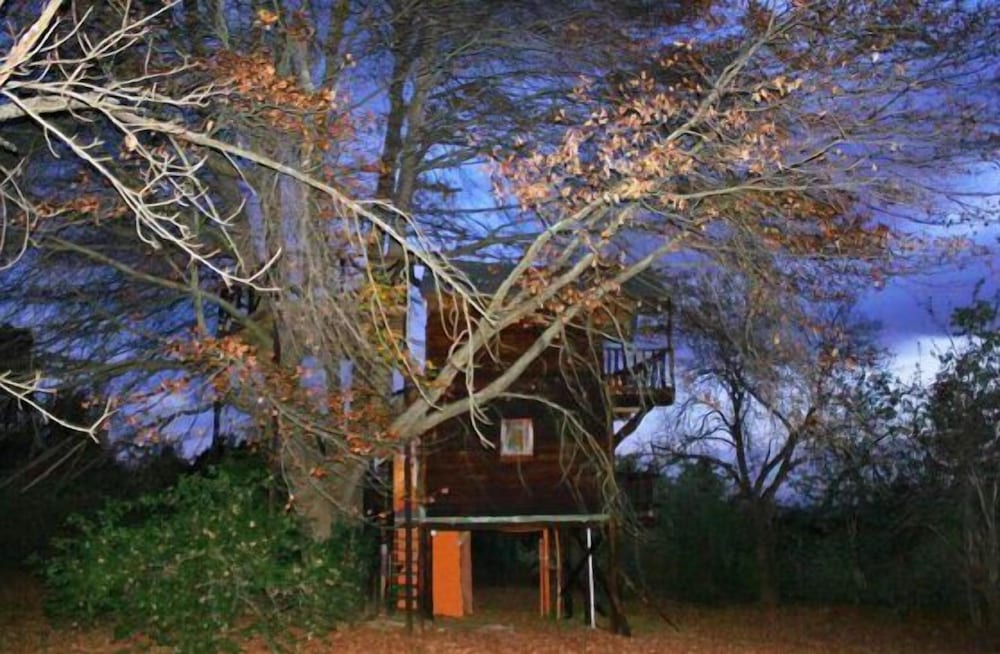 Romantic Treehouse photo 3