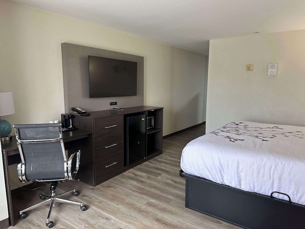 Suite, Multiple Beds, Hearing Accessible, Non Smoking (Efficiency) - Photo 7
