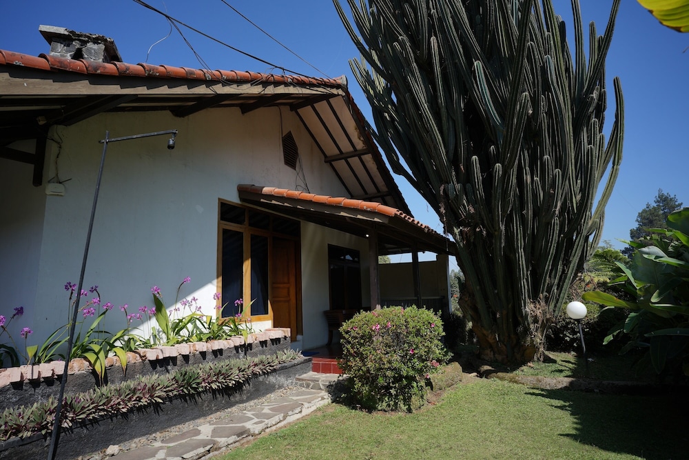 Bungalow - Photo 12