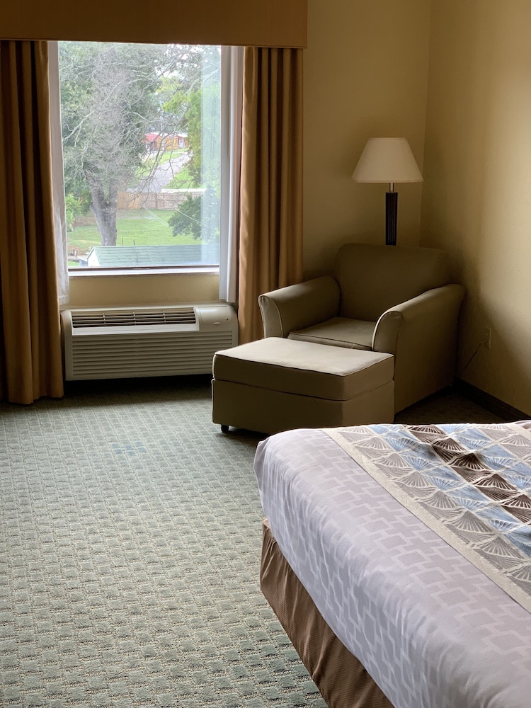 Suite, 1 King Bed with Sofabed, Non-Smoking photo 3