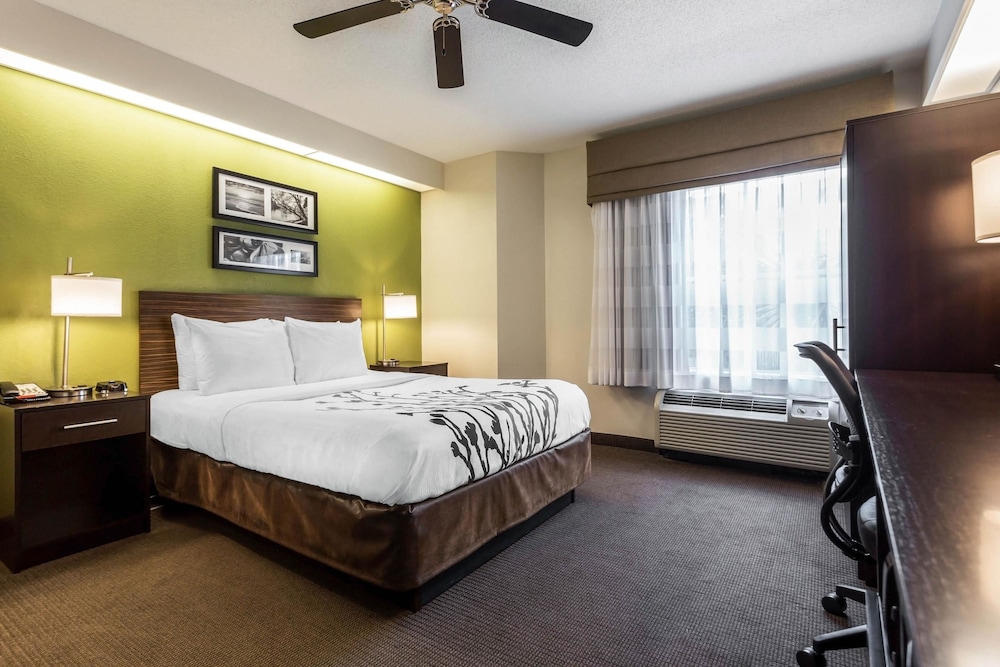 Room, 1 Queen Bed, Accessible, Non Smoking - Photo 3