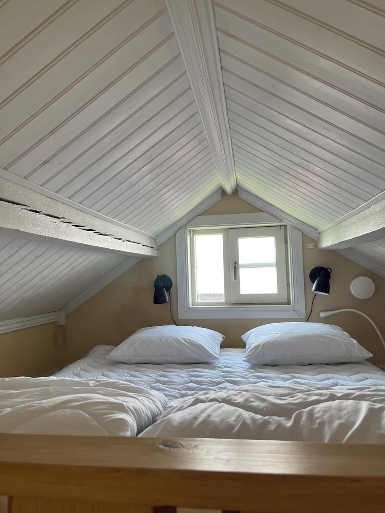 Basic Cabin photo 2