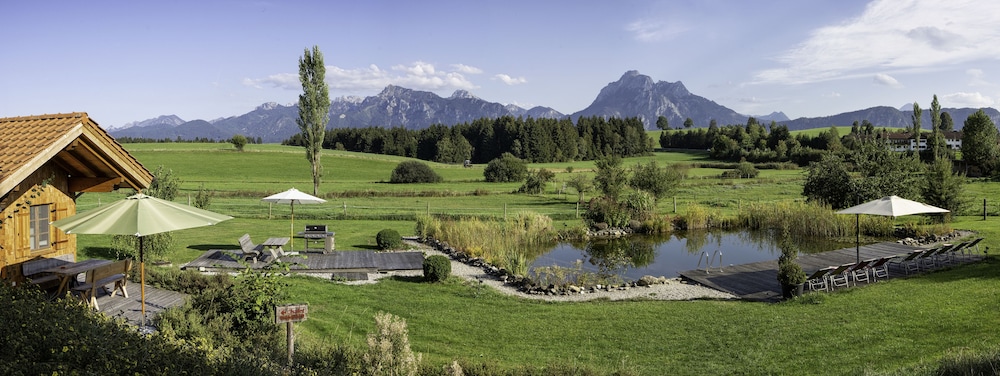 Luxury Chalet, 1 Bedroom, Fireplace, Pool View photo 3
