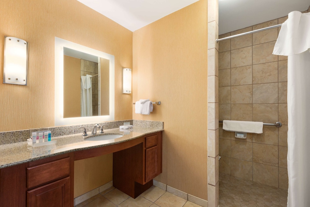 Studio, 1 King Bed, Accessible (Mobility & Hearing, Roll-in Shower) - Photo 6
