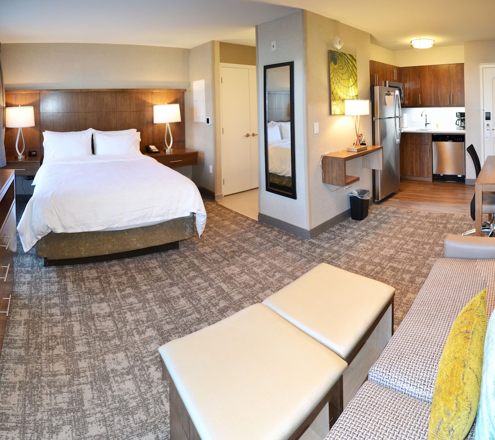Studio Suite, 1 Queen Bed, Kitchen photo 3