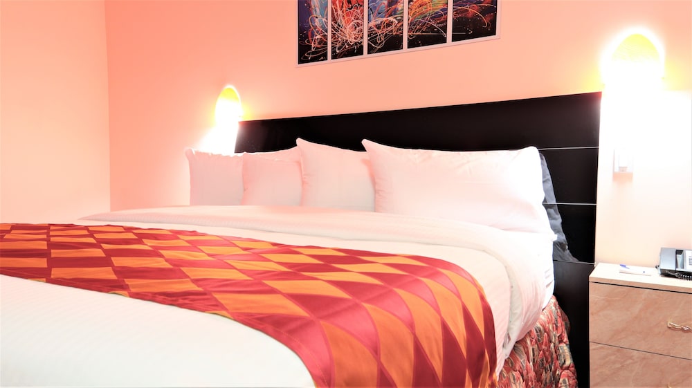 Premium Comfort Room, 1 King Bed photo 3