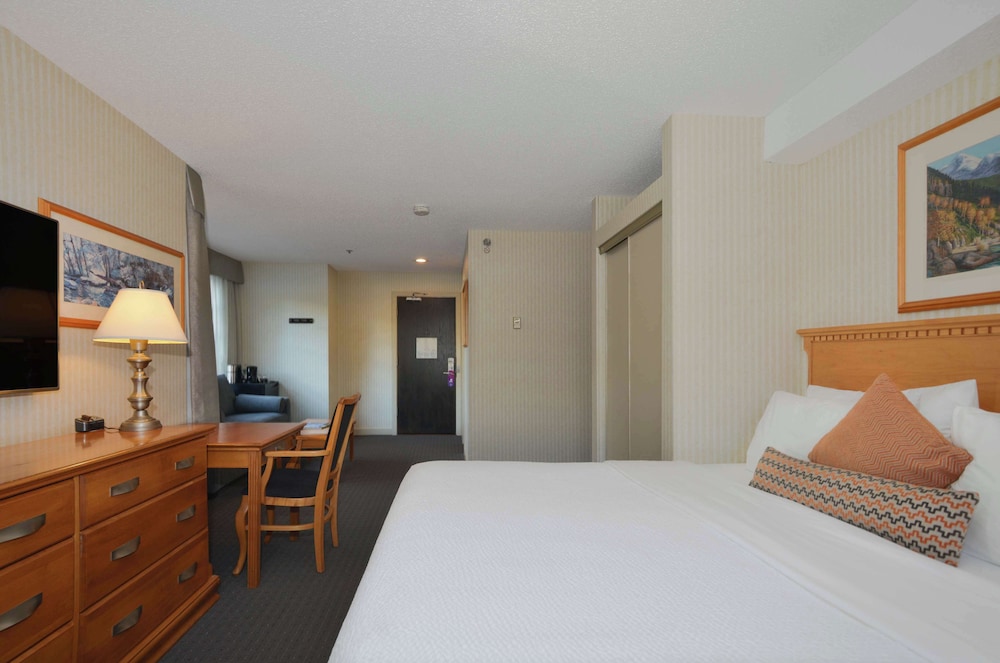 Junior Studio Suite - Photo 3