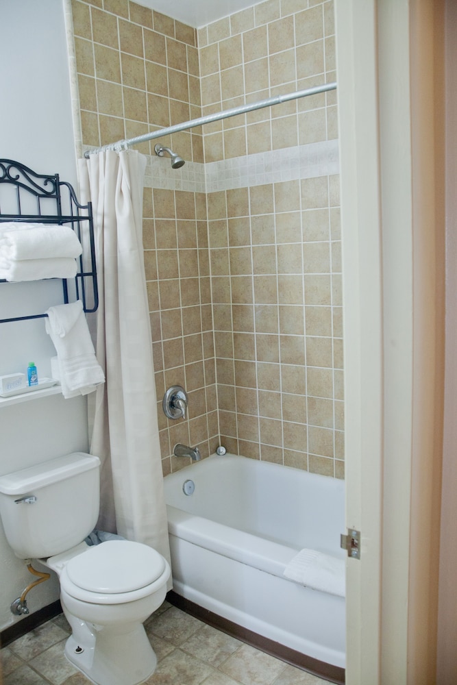 Basic Room, 1 Queen Bed photo 3