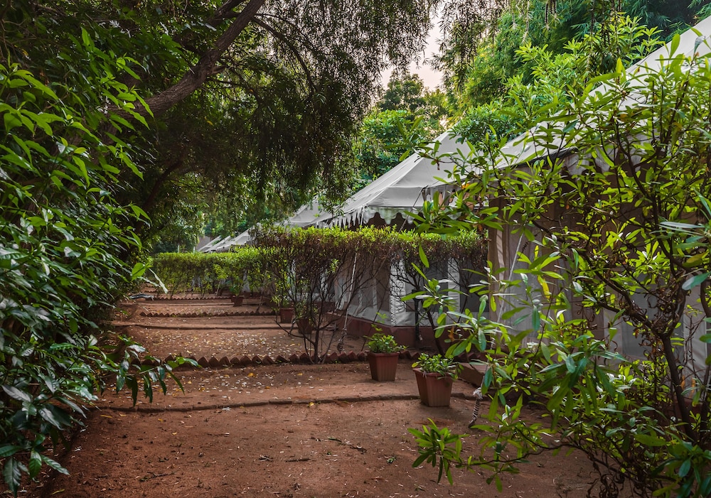 Luxury Tent, Garden View photo 2