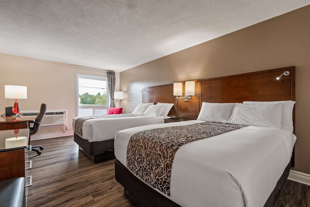 Standard Room, 2 Double Beds, Non Smoking, Refrigerator & Microwave - Photo 1