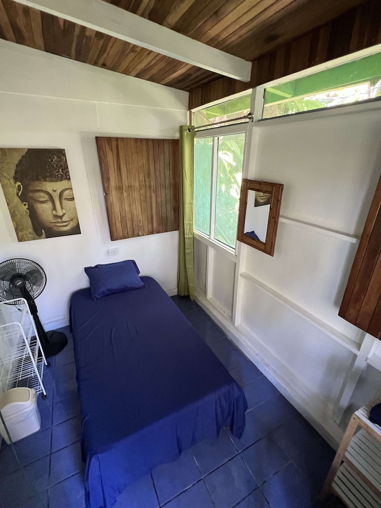 Single Room, Garden View
