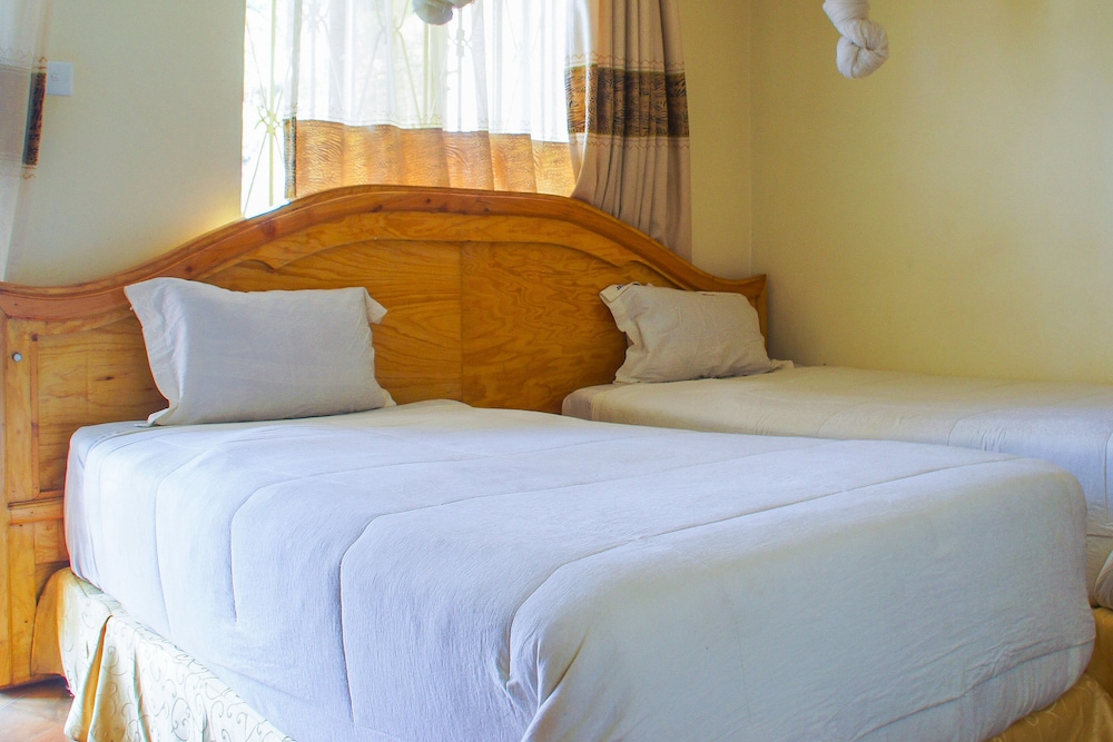 Deluxe Twin Room photo 1