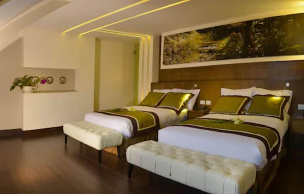 Deluxe Twin Room photo 1