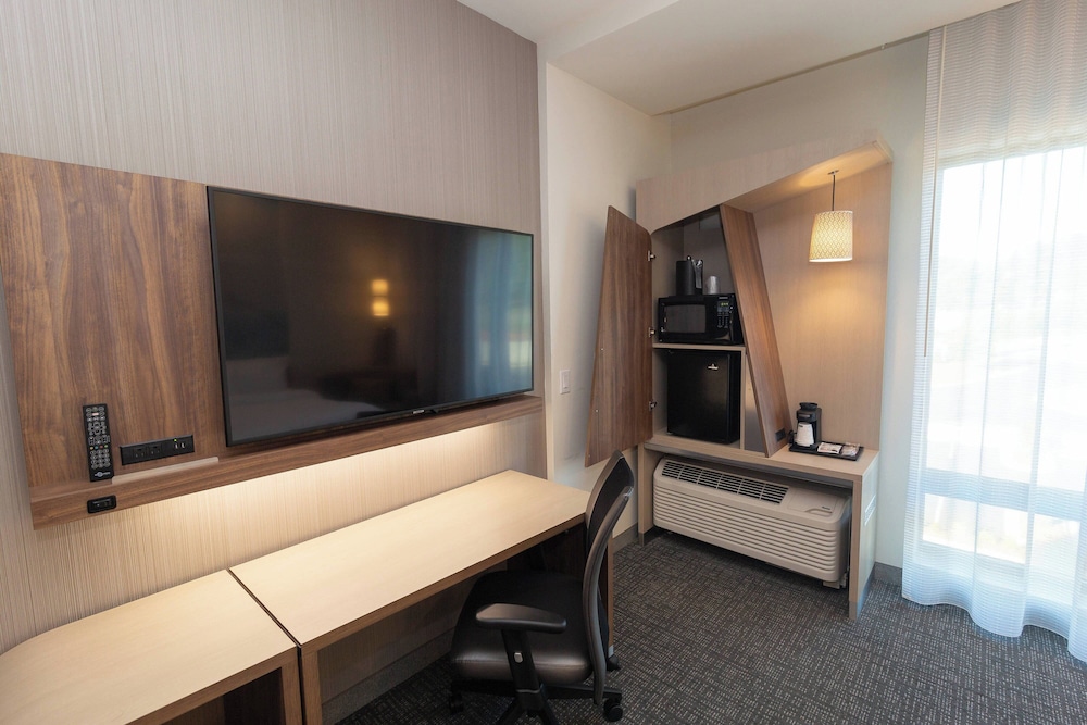 Room, 1 King Bed with Sofa bed (Mobility/Hearing Access, Roll-In Shwr) - Photo 5