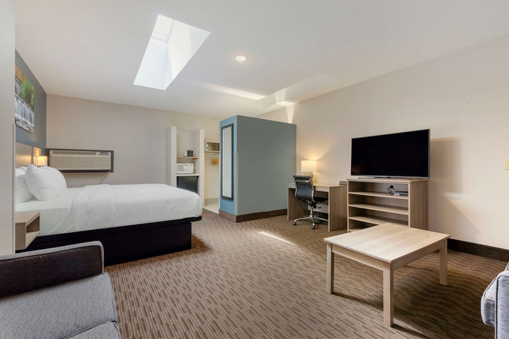 Suite, 1 King Bed, Non Smoking (Efficiency) photo 2