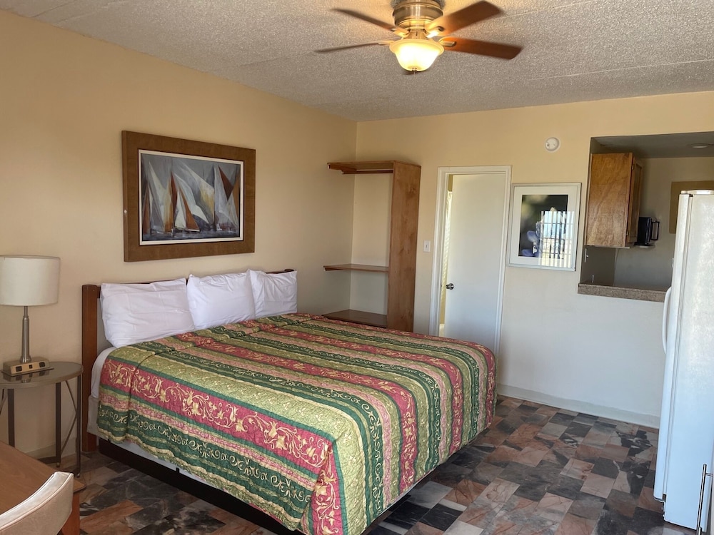 Basic Single Room, 1 King Bed photo 1