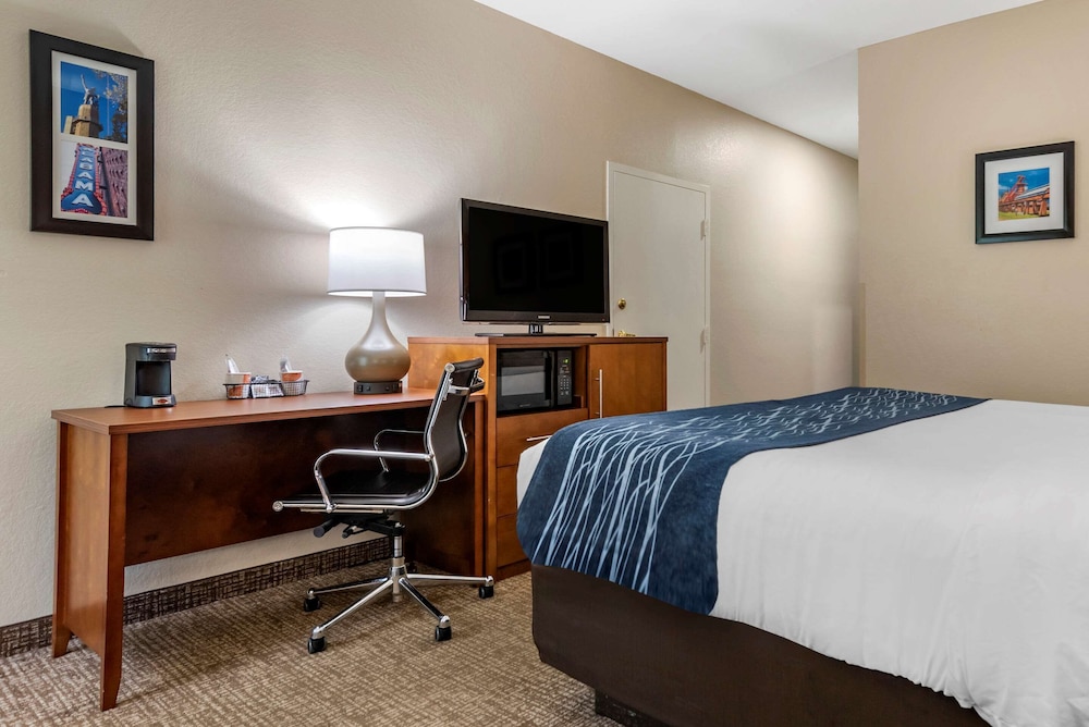 Room, Accessible - Photo 3