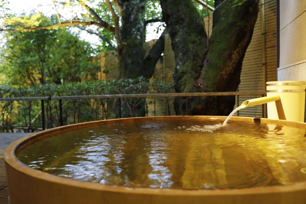 Maisonette Suite with Open-Air Bath [Tatsuta] photo 3