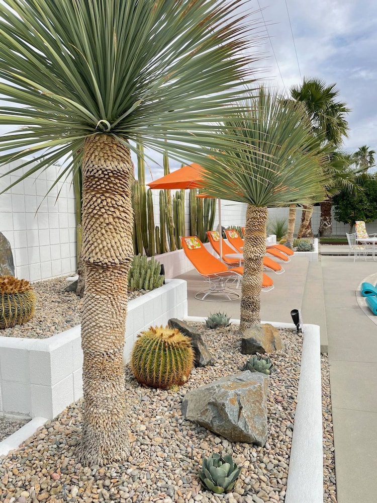 OG MCM w Saltwater Pool Hot Tub Dogs Welcome, Foto 62
