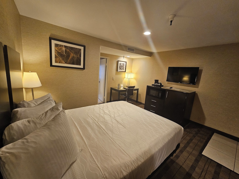 Suite, Multiple Beds, Non Smoking, Refrigerator & Microwave - Photo 8