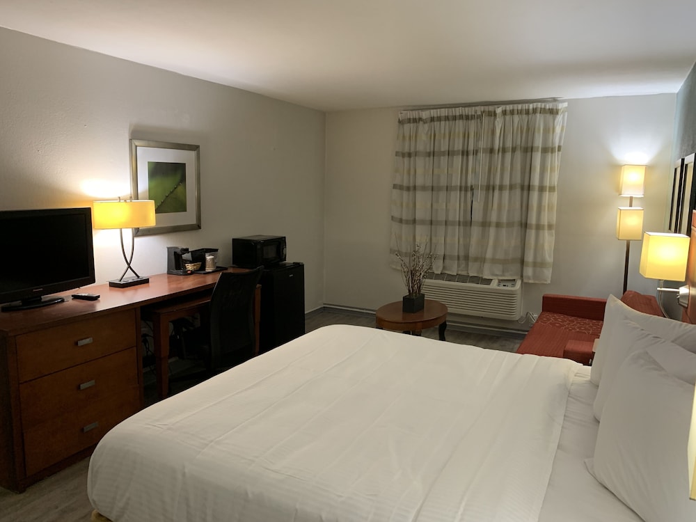 Economy Single Room