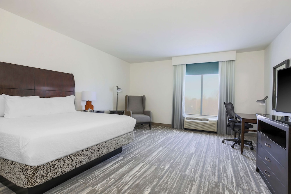 Room, 1 King Bed, Accessible - Photo 3