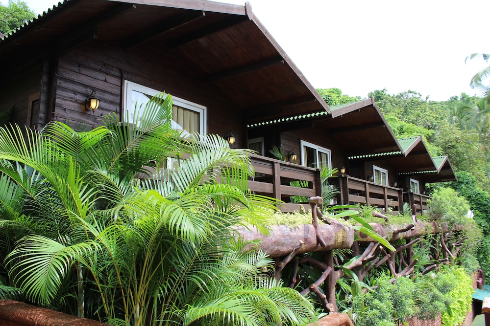 Deluxe Cottage photo 2