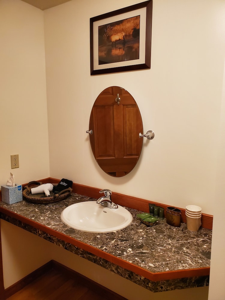 Suite, 1 Bedroom, Mountain View photo 3