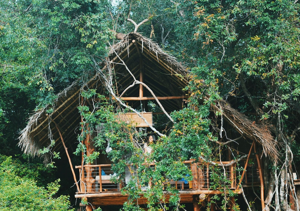 Deluxe Tree House, 1 Bedroom, Balcony, Garden View photo 3