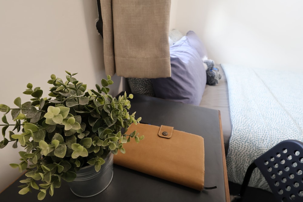 Basic Single Room