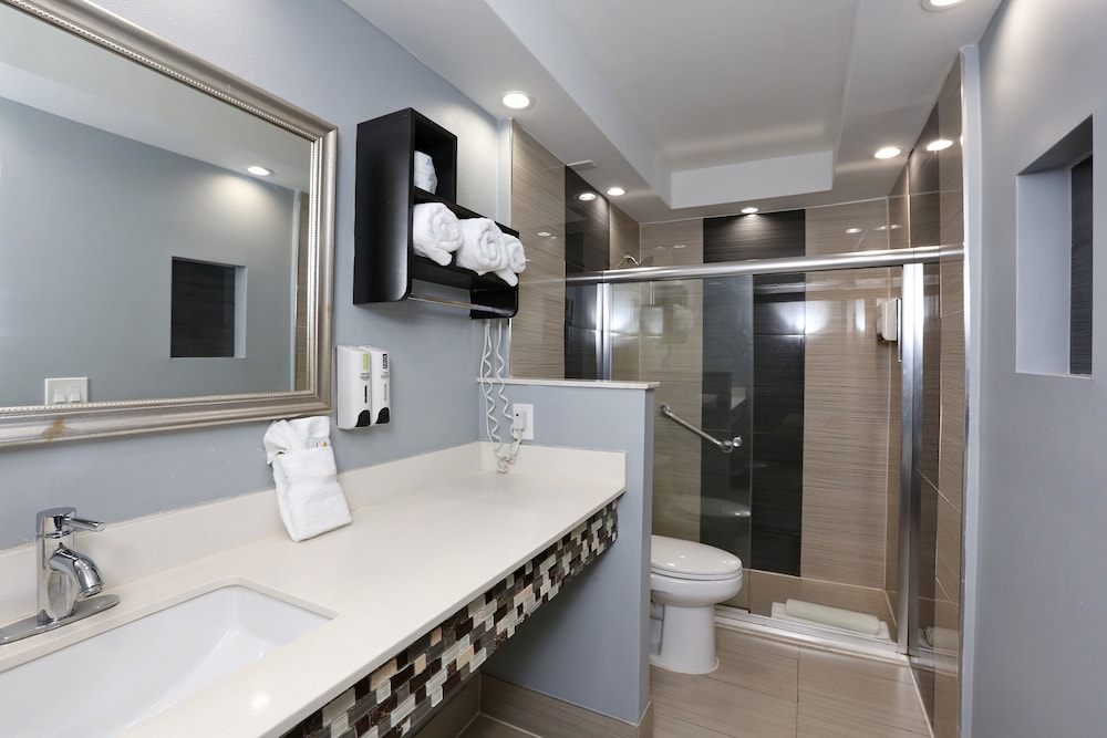 Standard Single Room, 1 King Bed, Accessible photo 3
