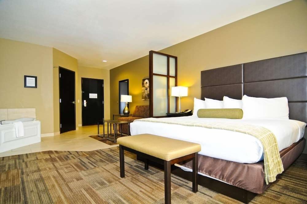 Suite, 1 King Bed, Non Smoking, Jetted Tub (Shower Only;with Sofabed) photo 1